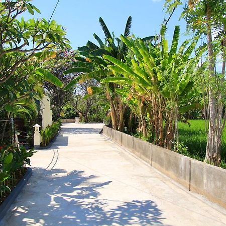 Villa Surgawi Lovina  Bagian luar foto