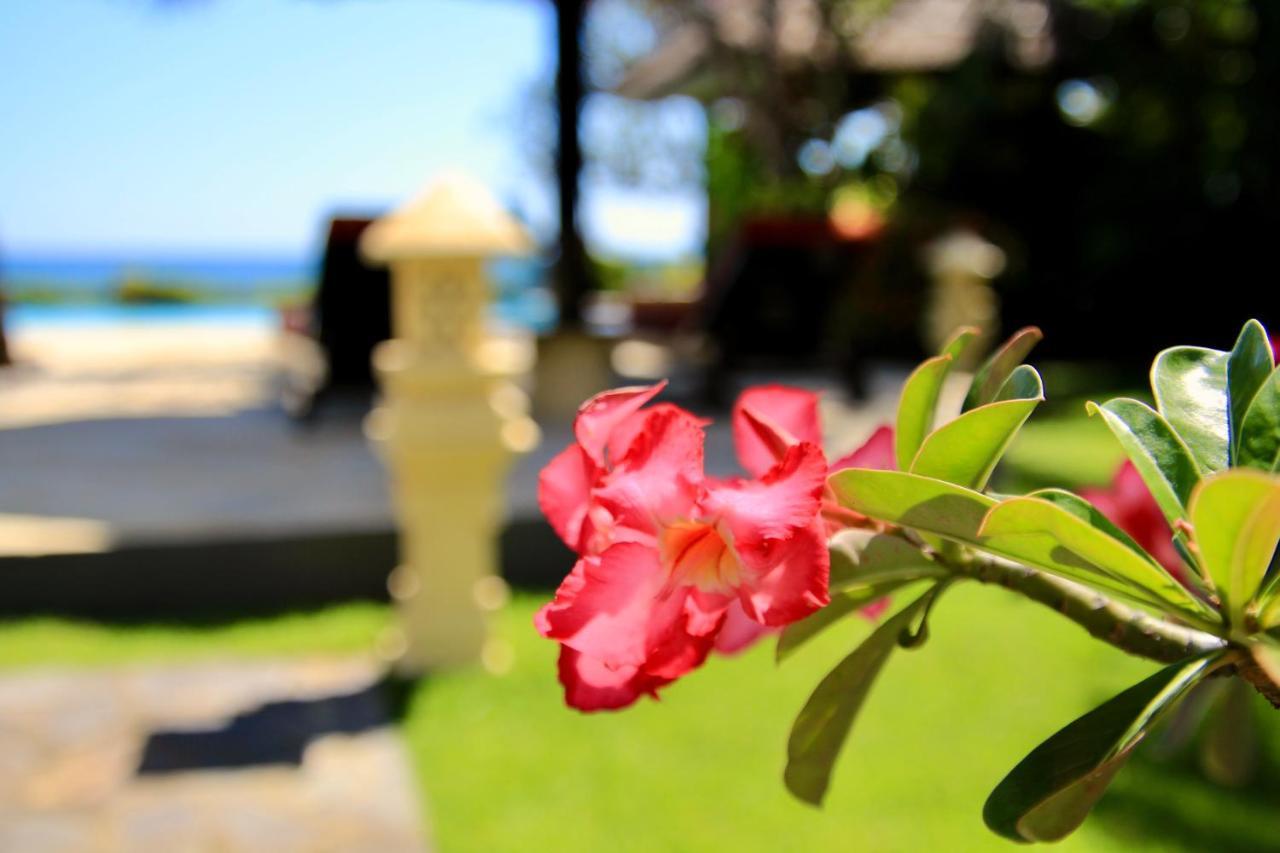 Villa Surgawi Lovina  Bagian luar foto