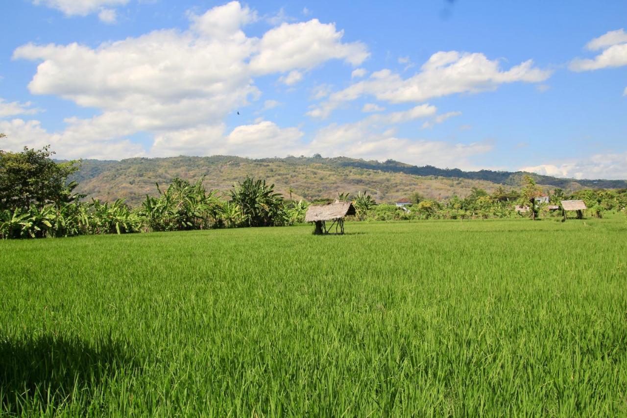 Villa Surgawi Lovina  Bagian luar foto